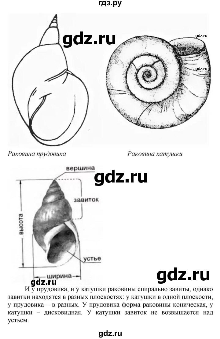 ГДЗ по биологии 8 класс Шереметьева   часть 1. страница - 183, Решебник