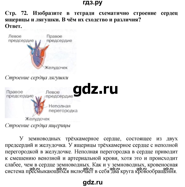 ГДЗ по биологии 8 класс Шереметьева   часть 2. страница - 72, Решебник