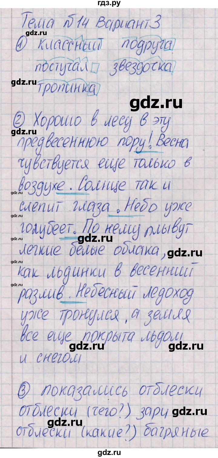 ГДЗ по русскому языку 4 класс Голубь Тематический контроль тема №14 - Вариант 3, Решебник №1 2019