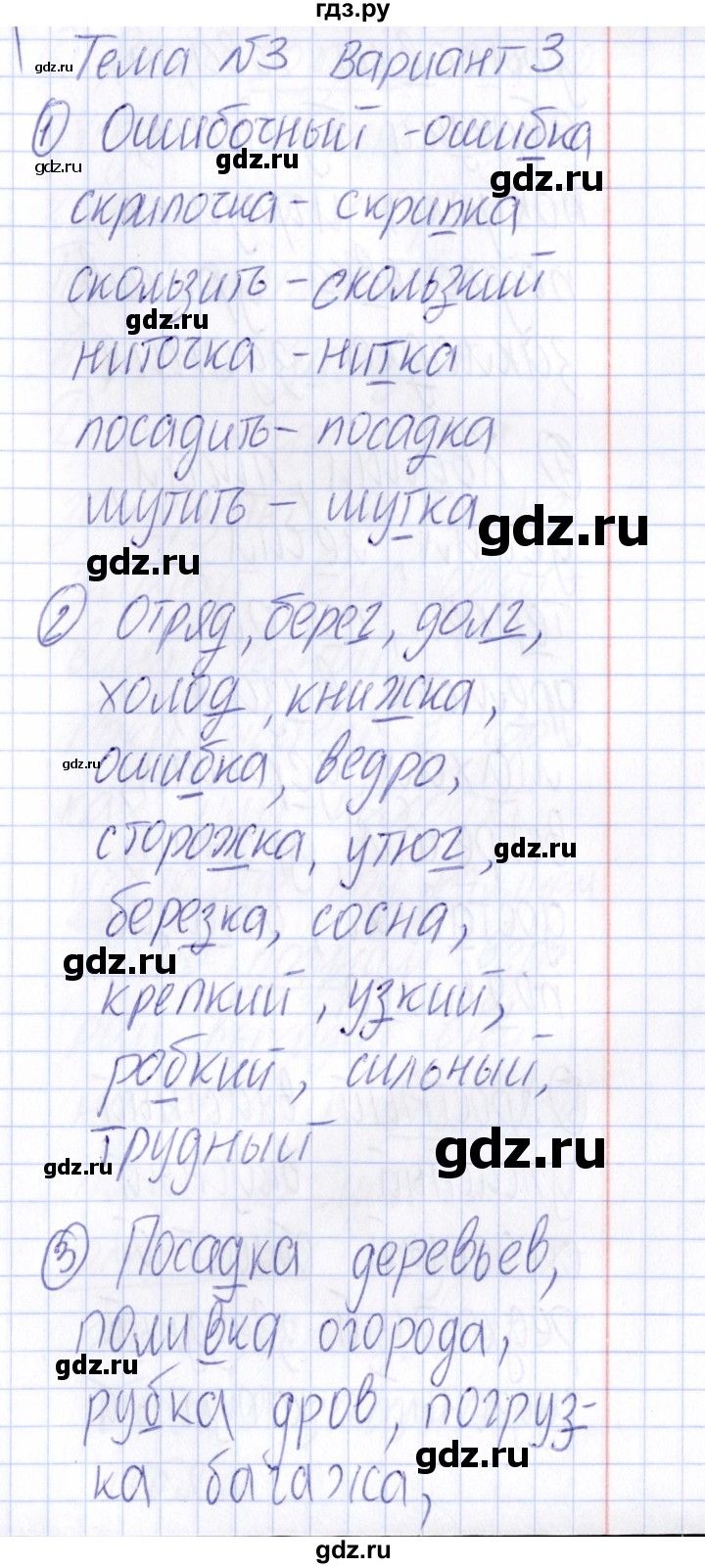 ГДЗ по русскому языку 4 класс Голубь Тематический контроль тема №3 - Вариант 3, Решебник №1 2019