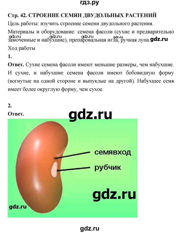 ГДЗ по биологии 6 класс  Пасечник  Базовый уровень страница - 42, Решебник