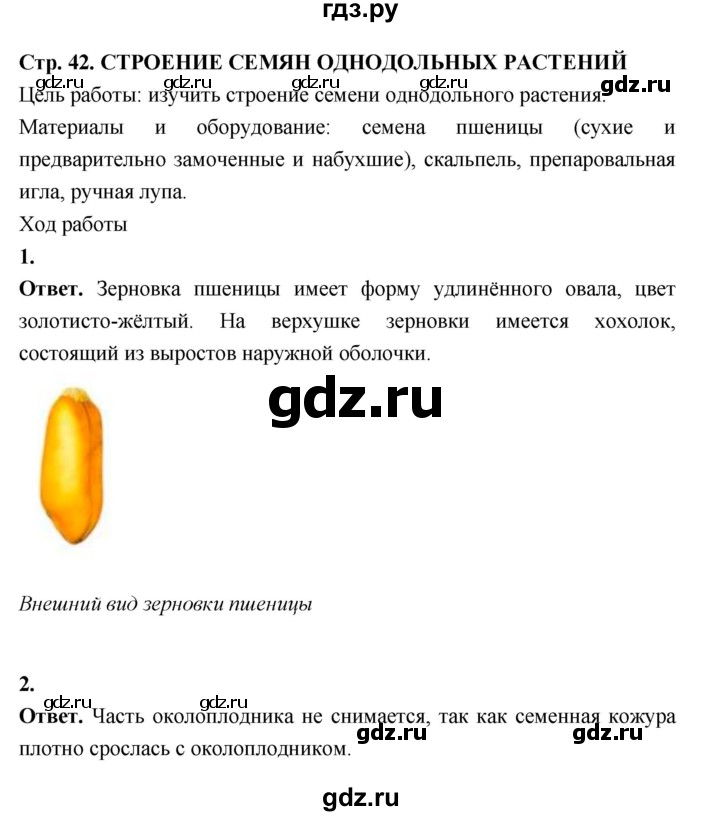 ГДЗ по биологии 6 класс  Пасечник  Базовый уровень страница - 42, Решебник