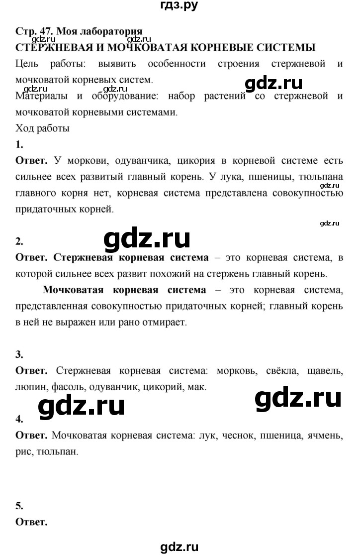 ГДЗ по биологии 6 класс  Пасечник  Базовый уровень страница - 47, Решебник