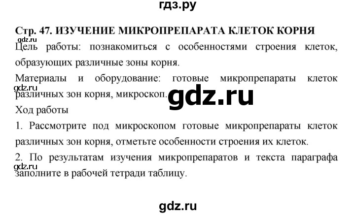 ГДЗ по биологии 6 класс  Пасечник  Базовый уровень страница - 47, Решебник