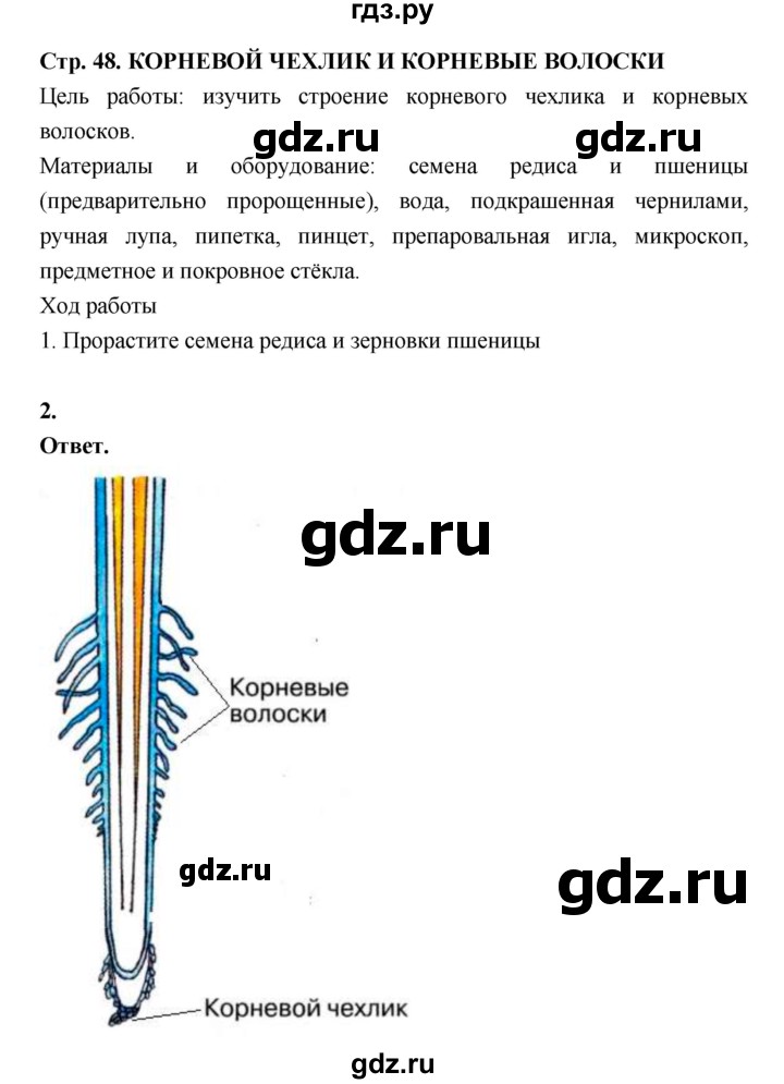 ГДЗ по биологии 6 класс  Пасечник  Базовый уровень страница - 48, Решебник
