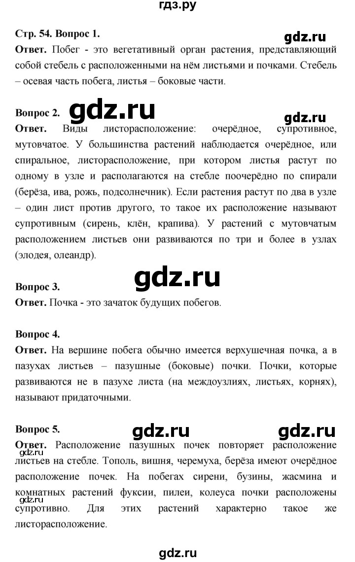 ГДЗ по биологии 6 класс  Пасечник  Базовый уровень страница - 54, Решебник