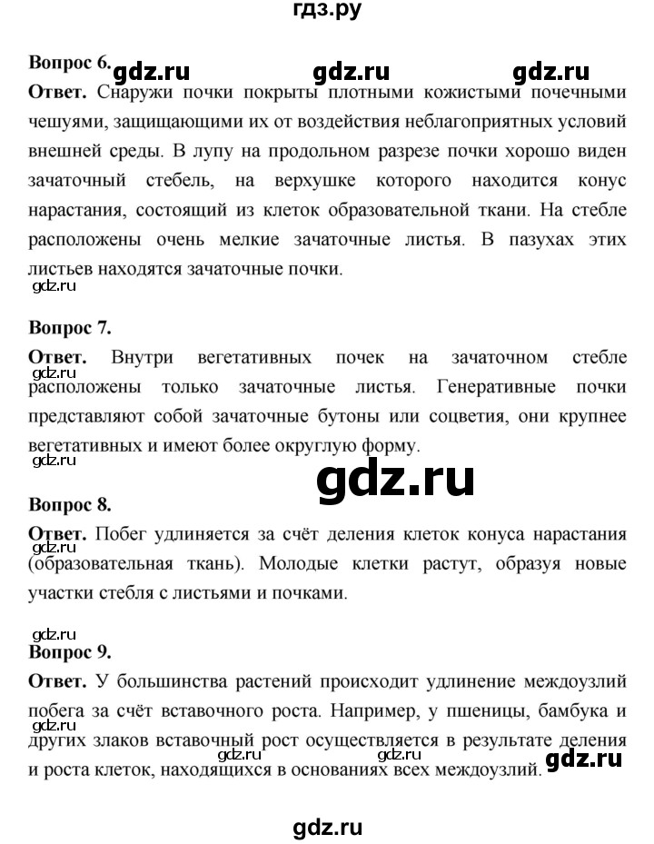 ГДЗ по биологии 6 класс  Пасечник  Базовый уровень страница - 54, Решебник