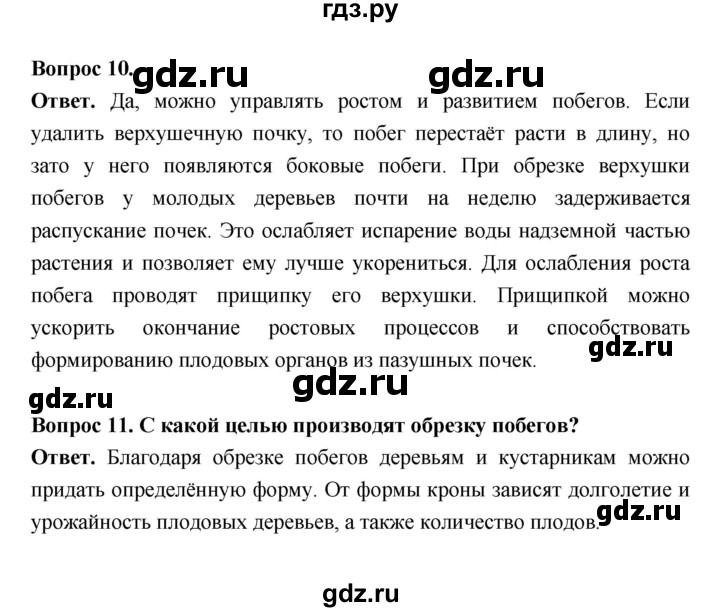 ГДЗ по биологии 6 класс  Пасечник  Базовый уровень страница - 54, Решебник