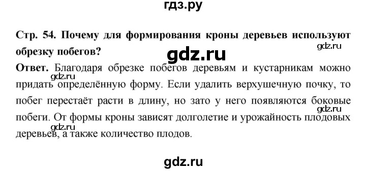 ГДЗ по биологии 6 класс  Пасечник  Базовый уровень страница - 54, Решебник