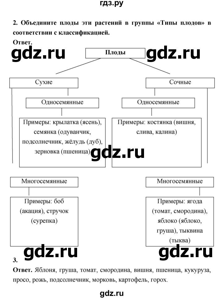 ГДЗ по биологии 6 класс  Пасечник  Базовый уровень страница - 89, Решебник