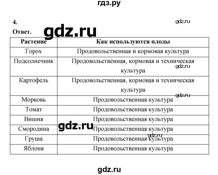 ГДЗ по биологии 6 класс  Пасечник  Базовый уровень страница - 89, Решебник