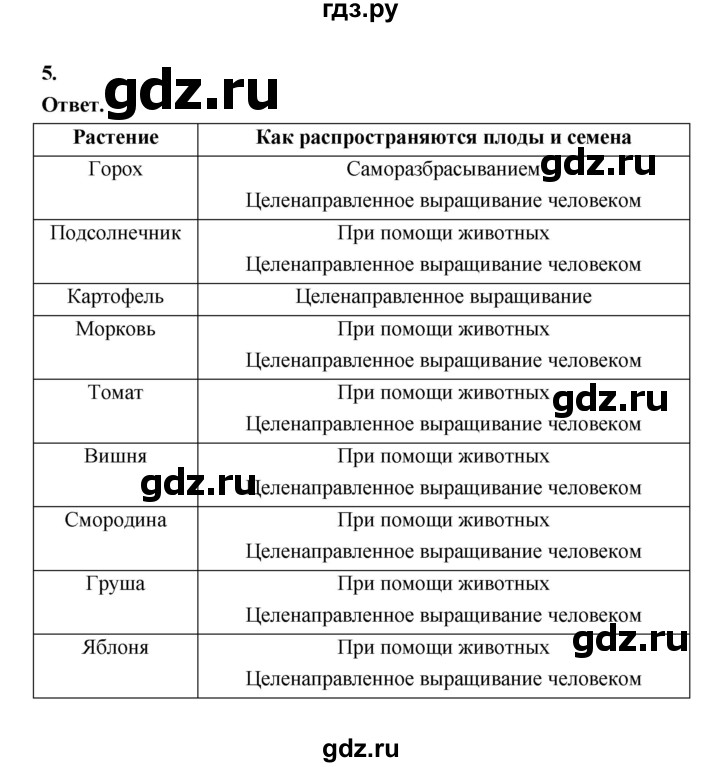 ГДЗ по биологии 6 класс  Пасечник  Базовый уровень страница - 89, Решебник