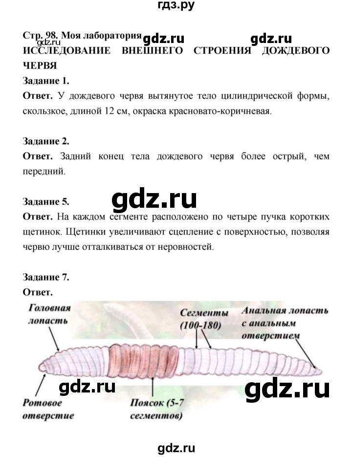 ГДЗ по биологии 8 класс  Пасечник  Базовый уровень параграф 22 (страница) - 98, Решебник