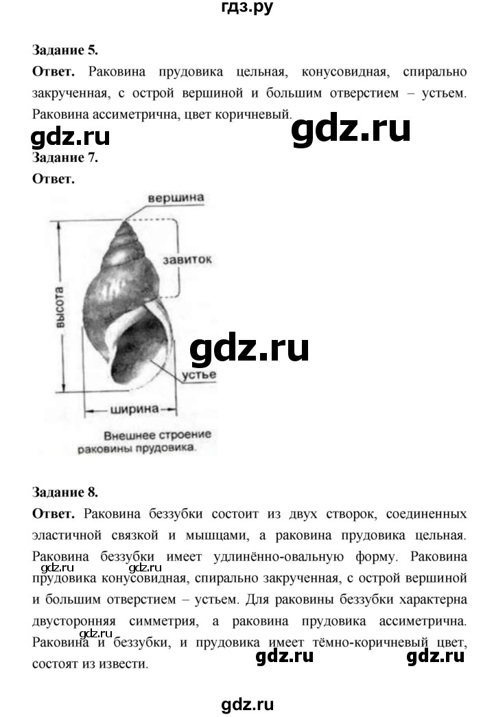 ГДЗ по биологии 8 класс  Пасечник  Базовый уровень параграф 29 (страница) - 131, Решебник