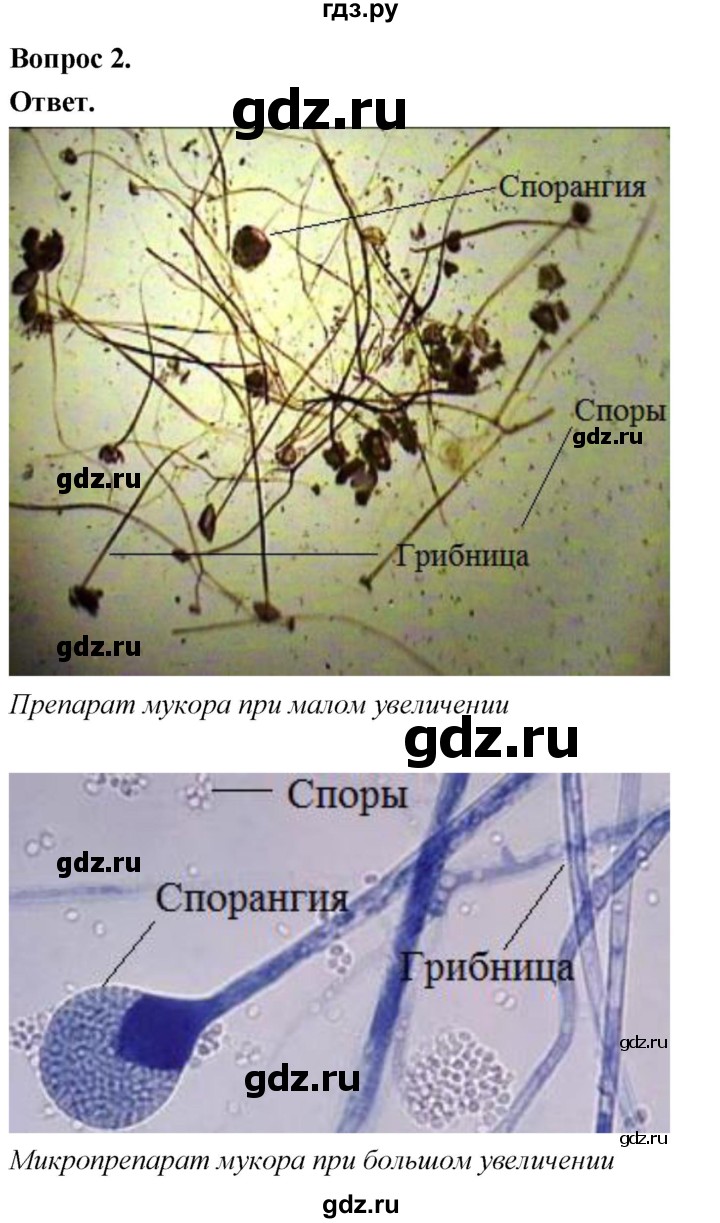 ГДЗ по биологии 8 класс Суматохин Углубленный уровень часть 1 / §2 / практикум - 2, Решебник