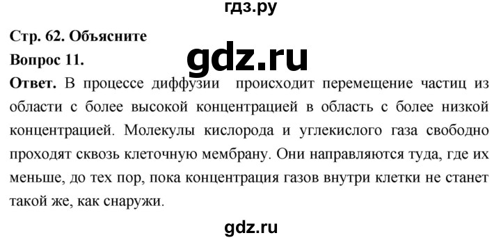 ГДЗ по биологии 8 класс Суматохин Углубленный уровень часть 1 / §12 / объясните - 11, Решебник