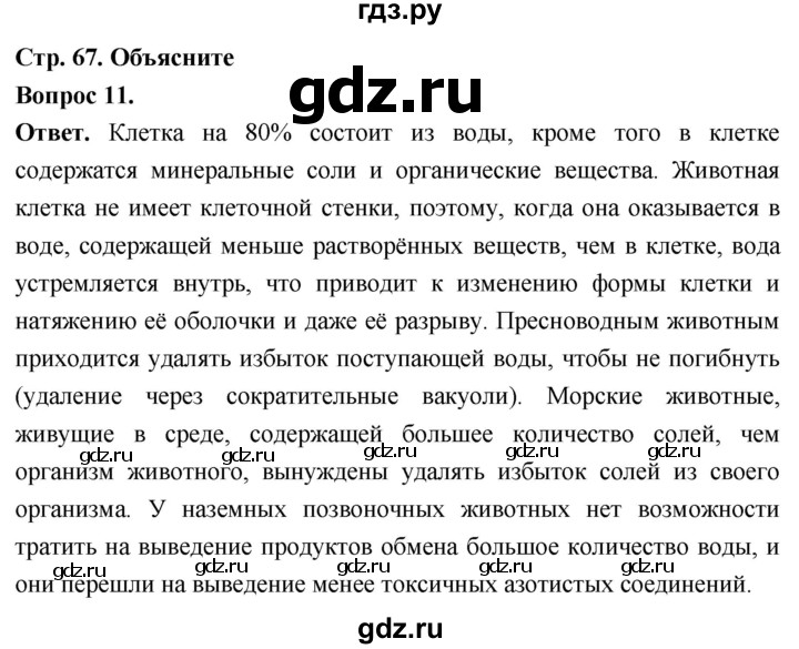 ГДЗ по биологии 8 класс Суматохин Углубленный уровень часть 1 / §13 / объясните - 11, Решебник