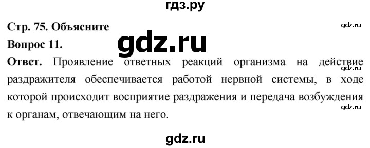 ГДЗ по биологии 8 класс Суматохин Углубленный уровень часть 1 / §15 / объясните - 11, Решебник