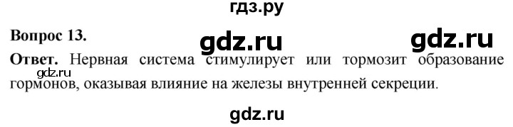 ГДЗ по биологии 8 класс Суматохин Углубленный уровень часть 1 / §15 / объясните - 13, Решебник