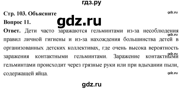 ГДЗ по биологии 8 класс Суматохин Углубленный уровень часть 1 / §20 / объясните - 11, Решебник