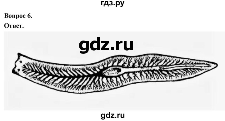 ГДЗ по биологии 8 класс Суматохин Углубленный уровень часть 1 / §21 / практикум - 6, Решебник