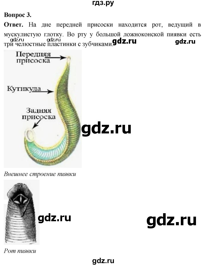 ГДЗ по биологии 8 класс Суматохин Углубленный уровень часть 1 / §26 / практикум - 3, Решебник
