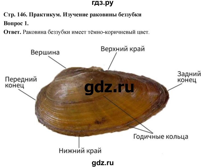 ГДЗ по биологии 8 класс Суматохин Углубленный уровень часть 1 / §28 / практикум - 1, Решебник