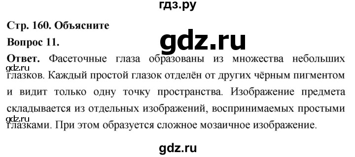 ГДЗ по биологии 8 класс Суматохин Углубленный уровень часть 1 / §30 / объясните - 11, Решебник