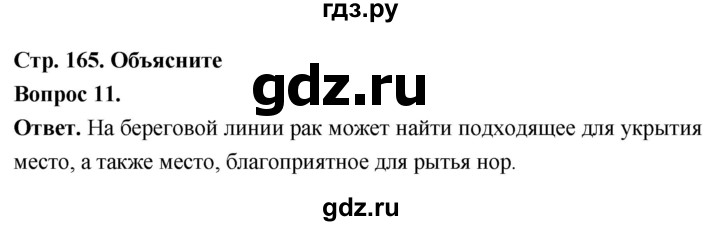 ГДЗ по биологии 8 класс Суматохин Углубленный уровень часть 1 / §31 / объясните - 11, Решебник
