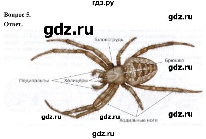 ГДЗ по биологии 8 класс Суматохин Углубленный уровень часть 1 / §33 / практикум - 5, Решебник