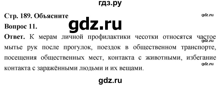 ГДЗ по биологии 8 класс Суматохин Углубленный уровень часть 1 / §36 / объясните - 11, Решебник