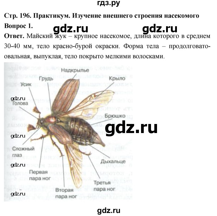 ГДЗ по биологии 8 класс Суматохин Углубленный уровень часть 1 / §37 / практикум - 1, Решебник