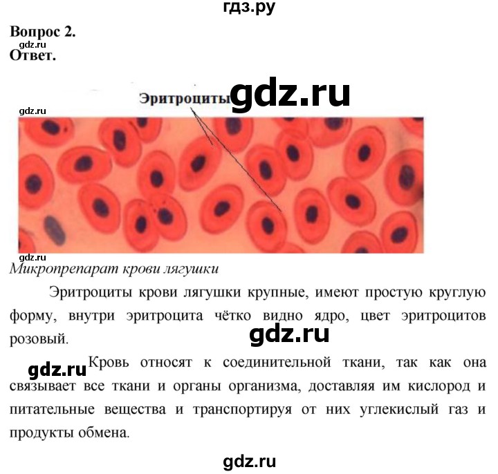 ГДЗ по биологии 8 класс Суматохин Углубленный уровень часть 1 / §9 / практикум - 2, Решебник