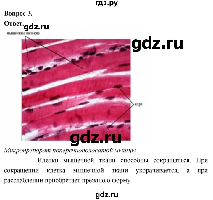 ГДЗ по биологии 8 класс Суматохин Углубленный уровень часть 1 / §9 / практикум - 3, Решебник