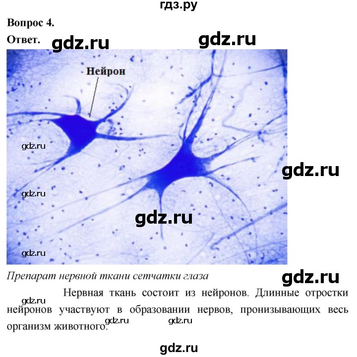 ГДЗ по биологии 8 класс Суматохин Углубленный уровень часть 1 / §9 / практикум - 4, Решебник