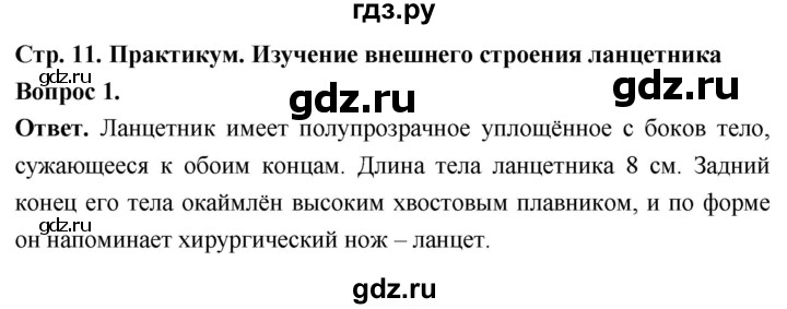 ГДЗ по биологии 8 класс Суматохин Углубленный уровень часть 2 / §2 / практикум - 1, Решебник