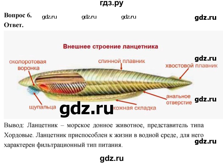 ГДЗ по биологии 8 класс Суматохин Углубленный уровень часть 2 / §2 / практикум - 6, Решебник