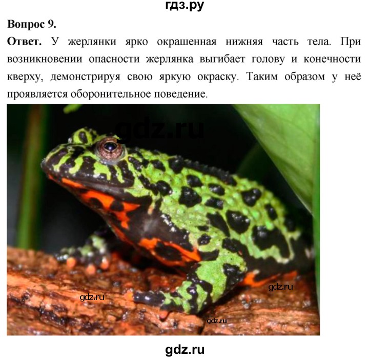 ГДЗ по биологии 8 класс Суматохин Углубленный уровень часть 2 / §14 / задание - 9, Решебник