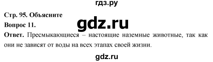 ГДЗ по биологии 8 класс Суматохин Углубленный уровень часть 2 / §16 / объясните - 11, Решебник