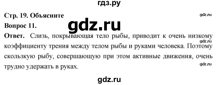 ГДЗ по биологии 8 класс Суматохин Углубленный уровень часть 2 / §3 / объясните - 11, Решебник