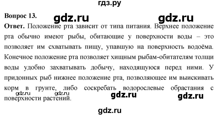 ГДЗ по биологии 8 класс Суматохин Углубленный уровень часть 2 / §3 / объясните - 13, Решебник