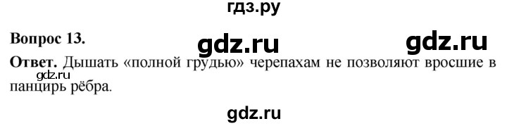 ГДЗ по биологии 8 класс Суматохин Углубленный уровень часть 2 / §19 / объясните - 13, Решебник