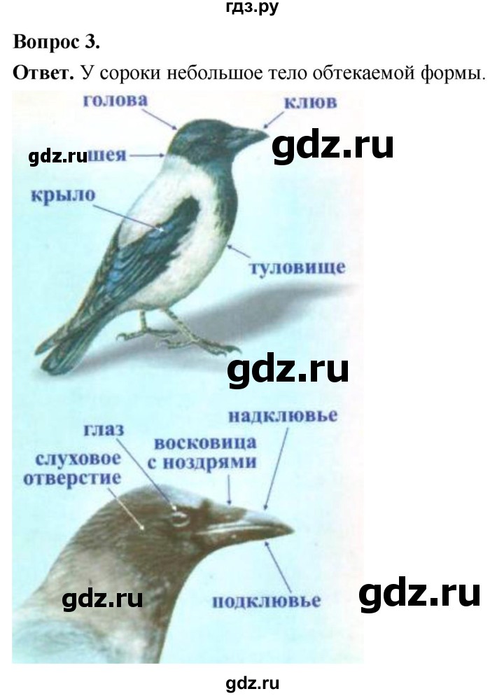 ГДЗ по биологии 8 класс Суматохин Углубленный уровень часть 2 / §20 / практикум - 3, Решебник