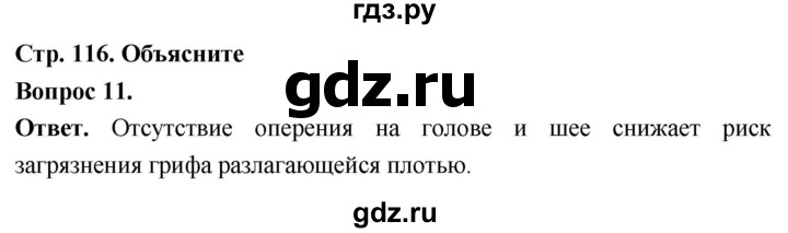 ГДЗ по биологии 8 класс Суматохин Углубленный уровень часть 2 / §20 / объясните - 11, Решебник