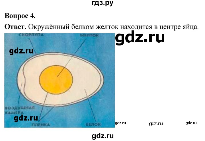 ГДЗ по биологии 8 класс Суматохин Углубленный уровень часть 2 / §24 / практикум - 4, Решебник