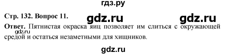 ГДЗ по биологии 8 класс Суматохин Углубленный уровень часть 2 / §24 / объясните - 11, Решебник