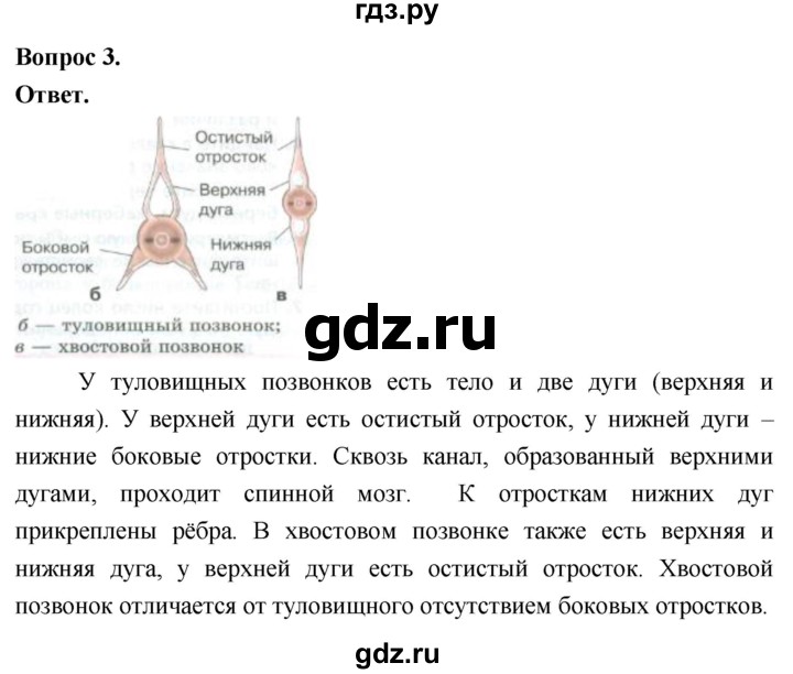 ГДЗ по биологии 8 класс Суматохин Углубленный уровень часть 2 / §4 / практикум - 3, Решебник