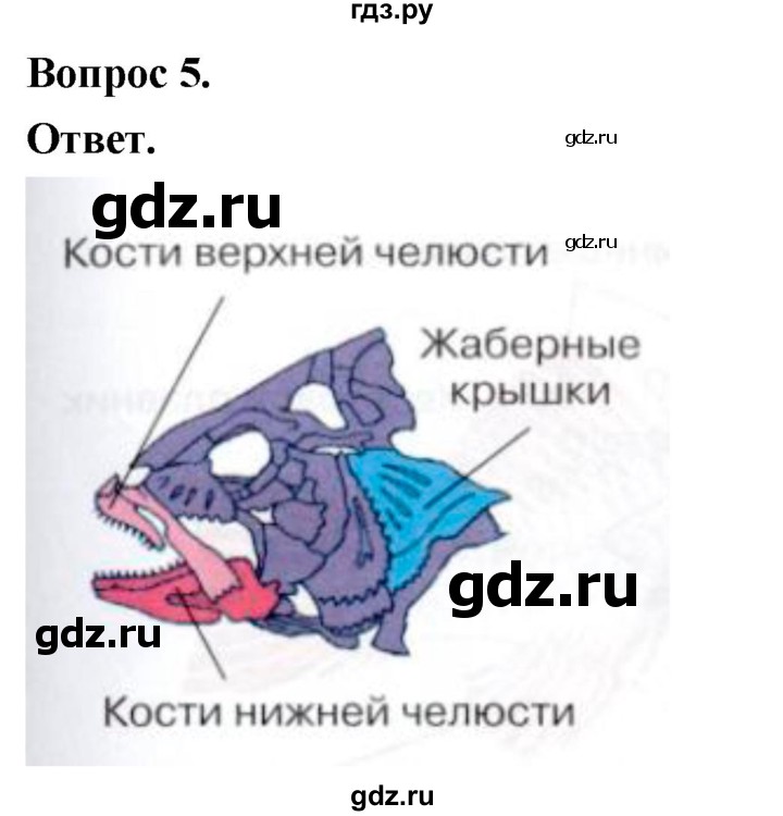 ГДЗ по биологии 8 класс Суматохин Углубленный уровень часть 2 / §4 / практикум - 5, Решебник