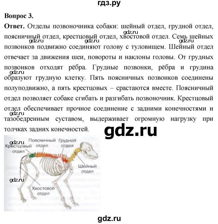ГДЗ по биологии 8 класс Суматохин Углубленный уровень часть 2 / §29 / практикум - 3, Решебник
