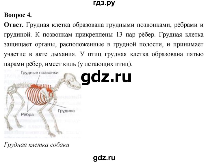 ГДЗ по биологии 8 класс Суматохин Углубленный уровень часть 2 / §29 / практикум - 4, Решебник